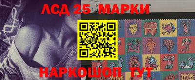 твердый Гатчина