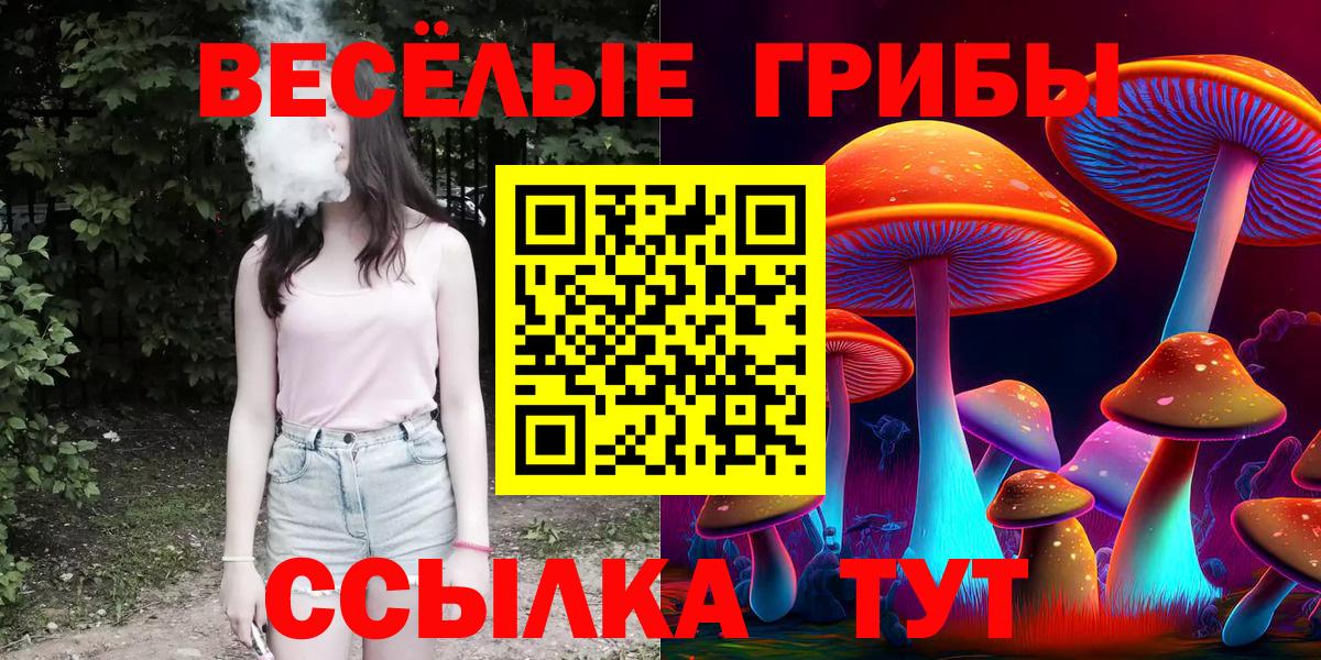 Псилоцибиновые грибы MAGIC MUSHROOMS  Галлюциногенные грибы мухоморы  Заводоуковск  Вход с VPN 